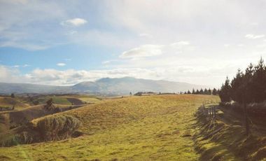 HACIENDA DE  62 HECTREAS A 30 MINUTOS DE CAYAMBE