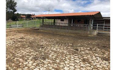 VENDO QUINTA GANADERA A 5 MINUTOS DE CAYAMBE