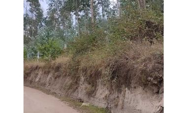 Propiedad en Venta 7000m2 y construcciones en Otavalo