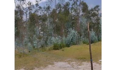 Propiedad en Venta 7000m2 y construcciones en Otavalo
