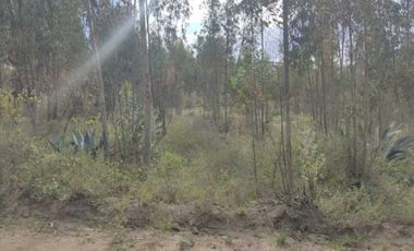 🌟 ¡GRAN OPORTUNIDAD EN VENTA EN GUACHALA CAYAMBE! 🌟