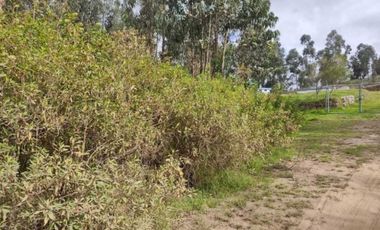 🌟 ¡GRAN OPORTUNIDAD EN VENTA EN GUACHALA CAYAMBE! 🌟