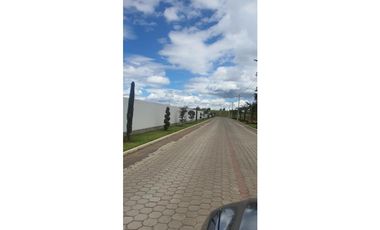 🌳 ¡Lote Exclusivo en Tabacundo en Urbanización La Pradera🌟