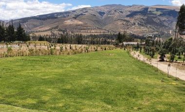 🌳 ¡Lote Exclusivo en Tabacundo en Urbanización La Pradera🌟