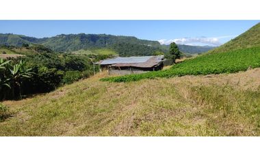 ¡Gran Oportunidad en Villa Dorita, Sector Intag!