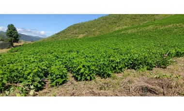 ¡Gran Oportunidad en Villa Dorita, Sector Intag!