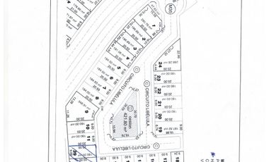 TERRENO EN VENTA EN VIÑEDOS TORREON