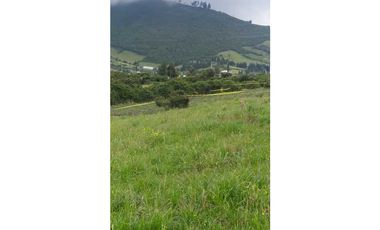 1 A 2  HECTAREAS EN LA PANAMERICANA OTAVALO - CAJAS