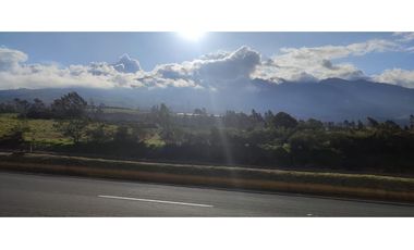 1 A 2  HECTAREAS EN LA PANAMERICANA OTAVALO - CAJAS