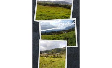 1 A 2  HECTAREAS EN LA PANAMERICANA OTAVALO - CAJAS