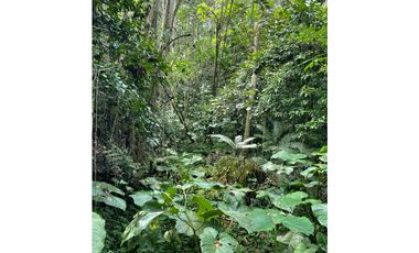 FINCA EN VENTA EN CACHIPAY