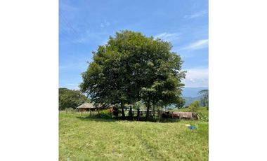 FINCA EN VENTA EN CACHIPAY