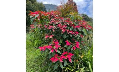 FINCA EN VENTA EN CACHIPAY