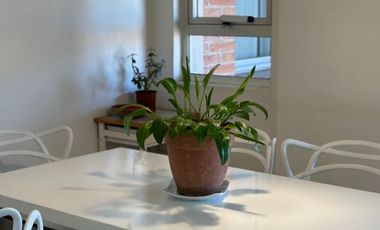 Espléndido Piso en Alquiler en Barrio Norte, en la zona más exclusiva, único