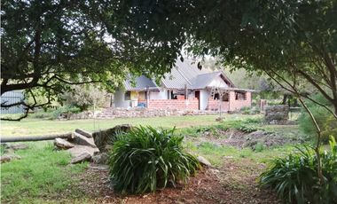 CAMPO DE 2 ¼ has EN SIERRA DE LOS PADRES