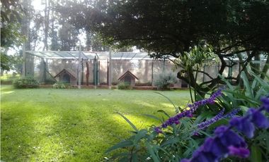 CAMPO DE 2 ¼ has EN SIERRA DE LOS PADRES