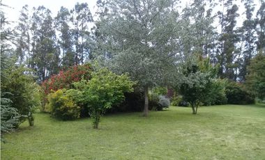 CAMPO DE 2 ¼ has EN SIERRA DE LOS PADRES