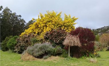CAMPO DE 2 ¼ has EN SIERRA DE LOS PADRES