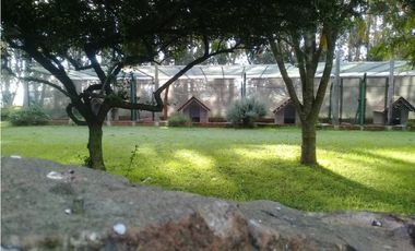 CAMPO DE 2 ¼ has EN SIERRA DE LOS PADRES