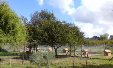 CAMPO DE 2 ¼ has EN SIERRA DE LOS PADRES