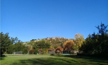 CAMPO DE 2 ¼ has EN SIERRA DE LOS PADRES