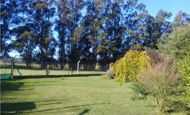 CAMPO DE 2 ¼ has EN SIERRA DE LOS PADRES