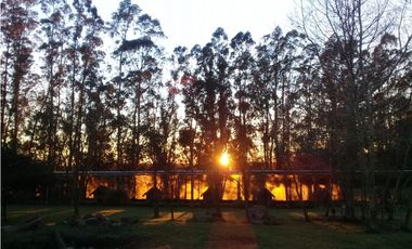 CAMPO DE 2 ¼ has EN SIERRA DE LOS PADRES