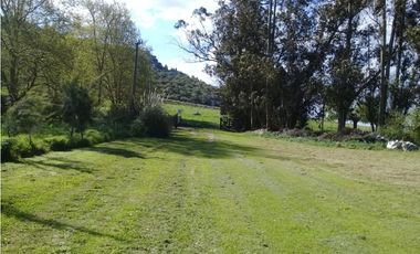 CAMPO DE 2 ¼ has EN SIERRA DE LOS PADRES