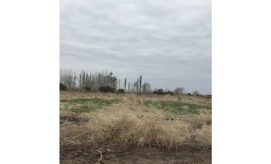 Excelente Campo con Accesos a la Ciudad