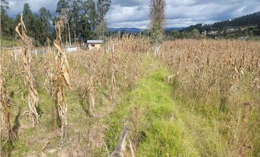 SE VENDE AMPLIO TERRENO EN MAYANCELA SECTOR PLAYITAS