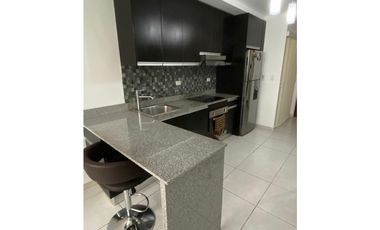 ALQUILER APARTAMENTO AMOBLADO AVENIDA BALBOA