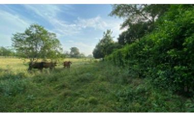 LOTES EN VENTA VIA AL FARO MONTERIA