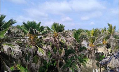 Vendo Lote ideal para hotel  a 50 metros de la playa de Salgar