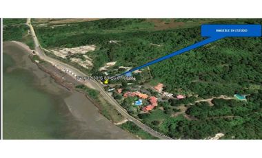 Venta Terreno-Lotizada 14hc Vía Canoa San Vicente