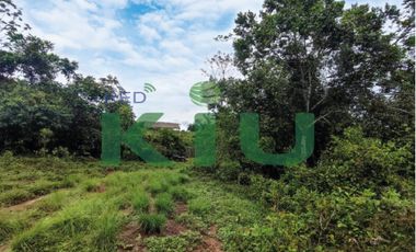 i022086 - Venta fundo - C.F. Basadre Km. 79