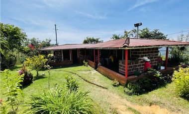 Se vende finca productiva en San Roque, Antioquia.