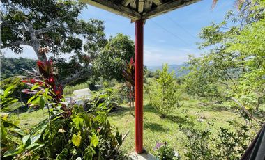 Se vende finca productiva en San Roque, Antioquia.