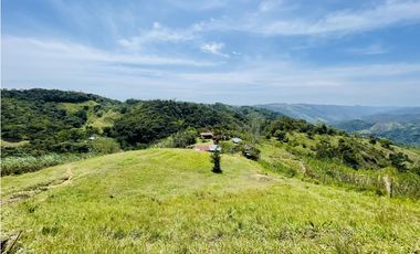 Se vende finca productiva en San Roque, Antioquia.