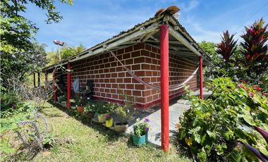 Se vende finca productiva en San Roque, Antioquia.