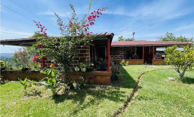 Se vende finca productiva en San Roque, Antioquia.