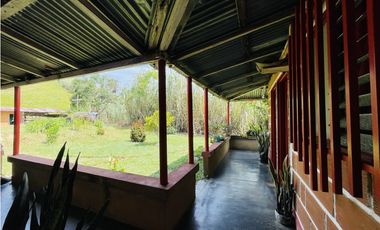 Se vende finca productiva en San Roque, Antioquia.