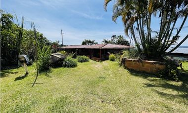 Se vende finca productiva en San Roque, Antioquia.