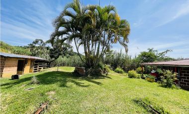 Se vende finca productiva en San Roque, Antioquia.
