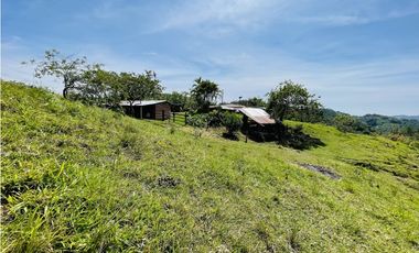 Se vende finca productiva en San Roque, Antioquia.