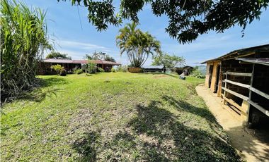 Se vende finca productiva en San Roque, Antioquia.
