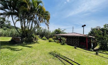 Se vende finca productiva en San Roque, Antioquia.