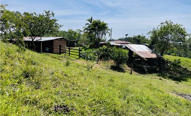 Se vende finca productiva en San Roque, Antioquia.