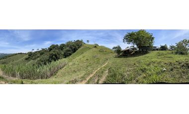 Se vende finca productiva en San Roque, Antioquia.