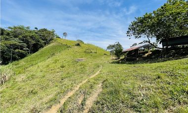 Se vende finca productiva en San Roque, Antioquia.