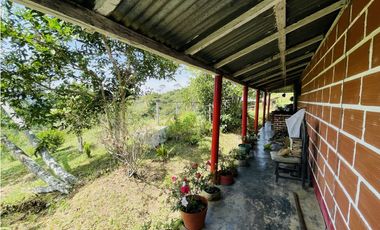 Se vende finca productiva en San Roque, Antioquia.